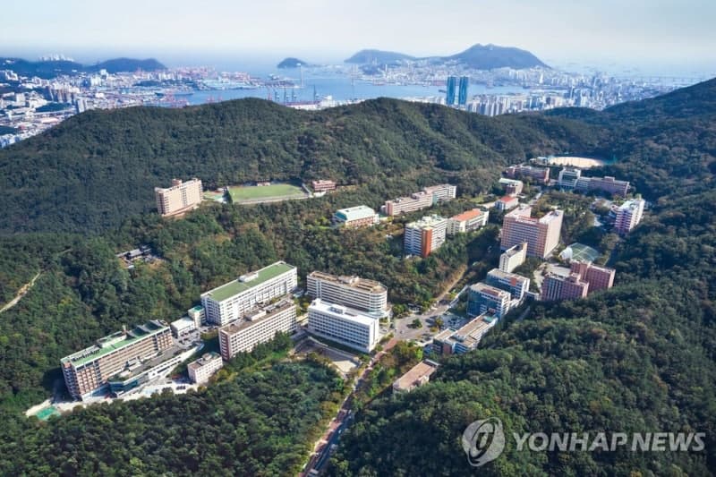 국립경국대·동의대·부산외대, 교육부 '대학 AI 기본교육과정 개발 지원사업' 선정