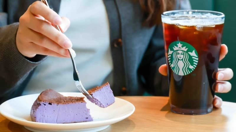 스타벅스, '우베 바스크 치즈 케이크' 전국 매장 확대 출시