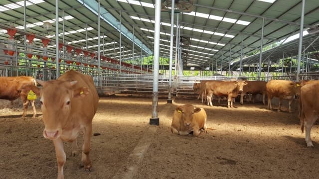 영주시, 축사 건축 전 '주민 의견 수렴' 의무화…갈등 줄인다