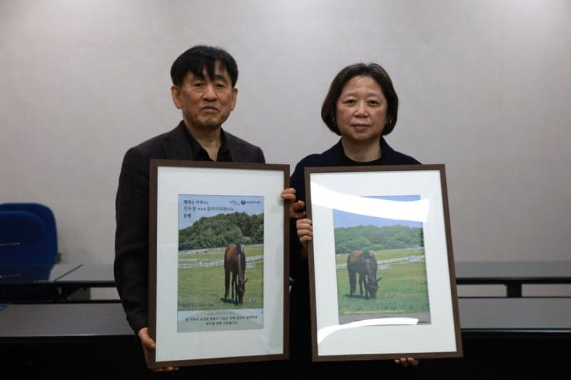 한국마사회 부산경남, 경주마 복지기금 '마필코노미' 가동 "따뜻한 변화"