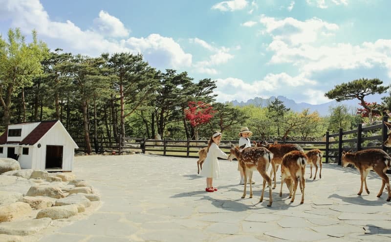 켄싱턴호텔앤리조트, 5월 가정의 달 맞아 '아이랑 호캉스' 패키지 선봬