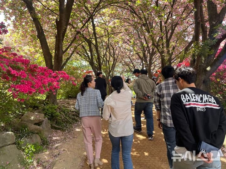 전주 완산공원 꽃동산 '분홍빛 물결'…겹벚꽃·철쭉 만개 속 버스킹·플리마켓 '북적'