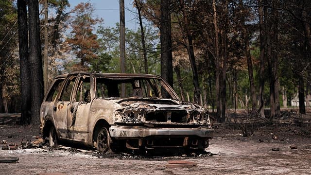 미국 조지아주 산불 확산…주지사, 30일간 비상사태 발령