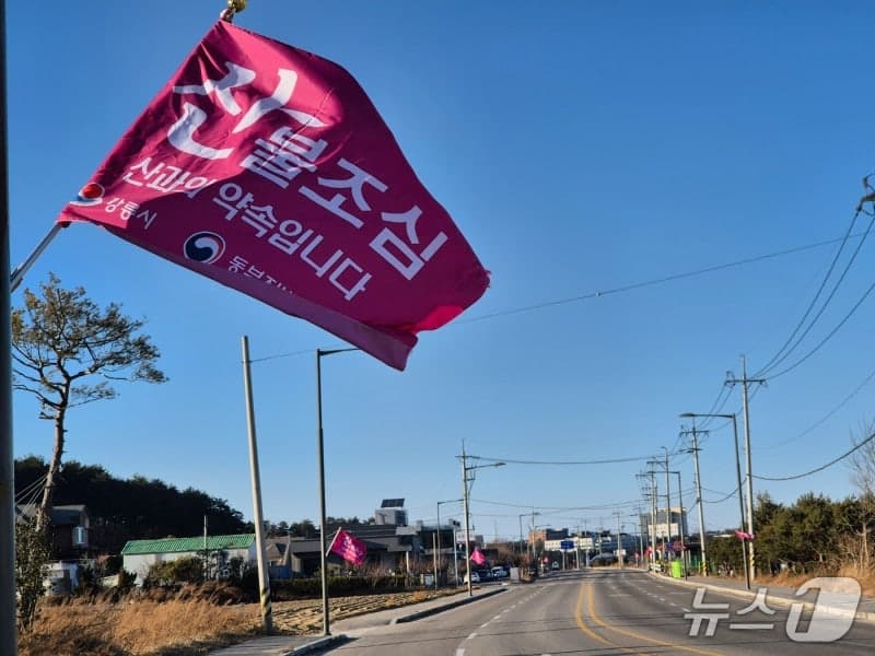 "강원 전역 바싹 말랐다"…실효습도 30%대, 산불 위험 고조