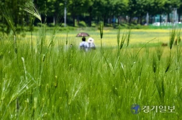 “전국 초여름 더위”…낮 최고 27도, 건조한 날씨에 화기 사용 주의