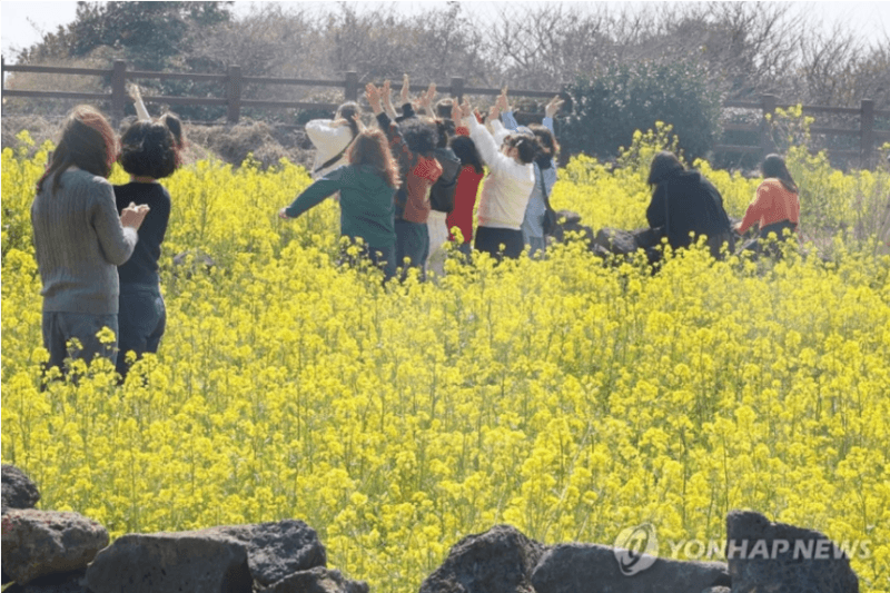 "나들이 가기 딱이네" 낮 최고 27도 초여름 날씨…일교차 20도 유의