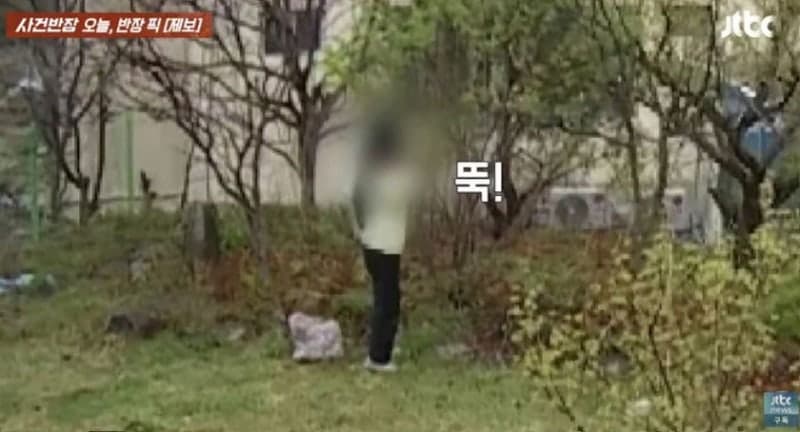남의 집 마당서 나물 '싹쓸이'…우산 쓰고 침입한 여성, 홈캠에 딱 걸려