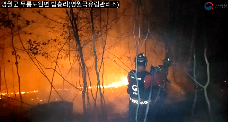 영월 야간 산불 4시간 만에 주불 진화, 건조특보 유의