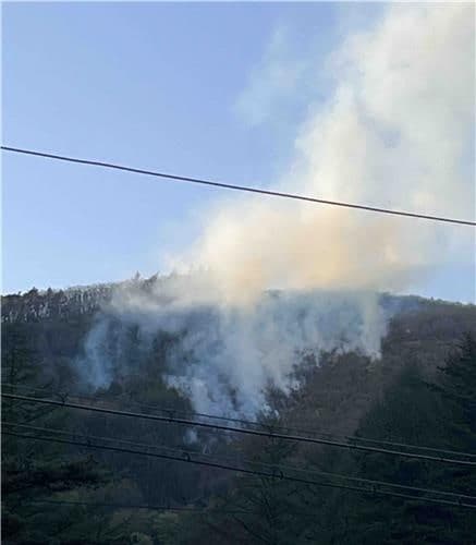 건조특보 속 삼척 국유림 산불, 헬기 6대 투입해 일몰 전 주불 진화
