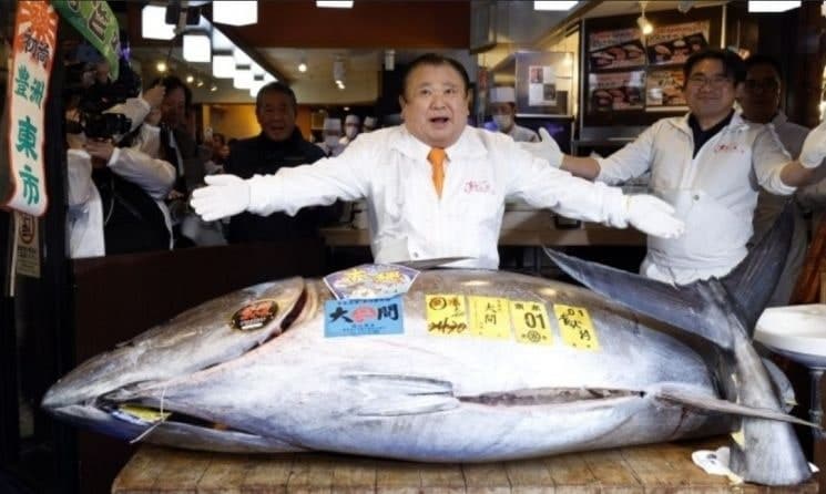 “생선 한 마리에 47억원”…‘기네스북’ 등극한 세계에서 가장 비싼 참치