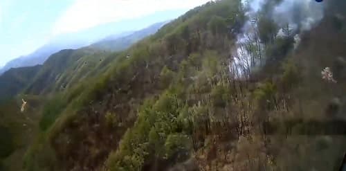 평창 국유림 산불, 건조주의보 속 2시간여 만에 진화…헬기 9대 투입