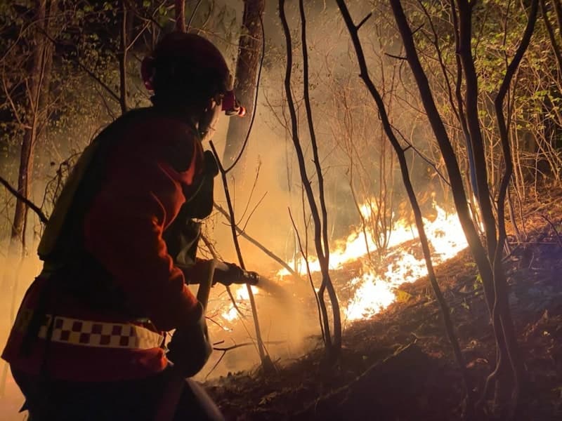 강원 영월 무릉도원면 국유림 산불 3시간 만에 진화