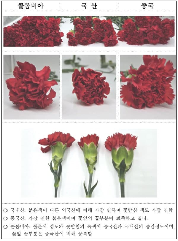 “어버이날 앞두고 꽃 원산지 단속”…가정의 달 '수입꽃→국산 둔갑' 잡는다