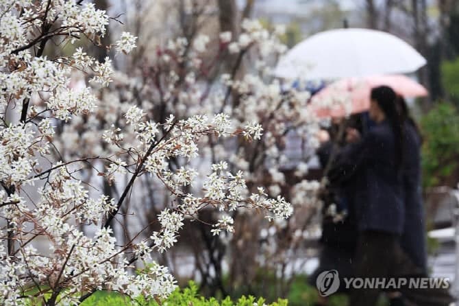 내일 날씨 전국 대체로 흐리고 중부 곳곳 비…수도권 오후까지 비 내려