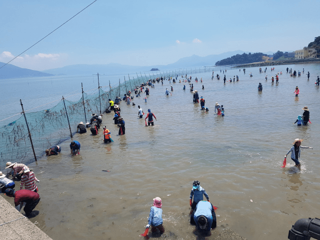 경남도, “주말 어장에서 어부 체험 하세요”… 2026 주말 어장 참가자 20팀 선착순 모집