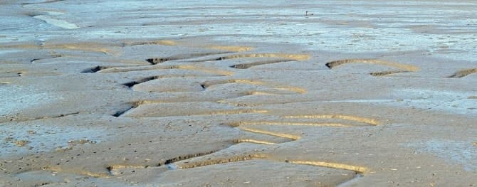 "갯벌에 시신이" 군산 해망동 갯벌서 엎드린 남성 변사체 발견…경찰 조사