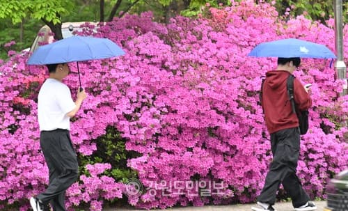 오늘 밤부터 중부지방에 비…내일 오후까지 이어져, 낮 기온 뚝 떨어져 쌀쌀