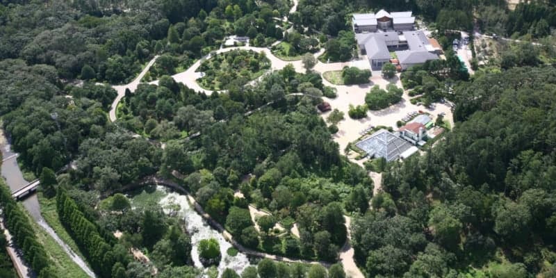 경기도, 94억 투입해 여의도 13배 규모 '맞춤형 숲가꾸기' 사업 착수