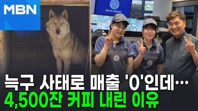 매출 0원인데…'늑구 수색대'에 커피 4500잔 쏜 카페 점주