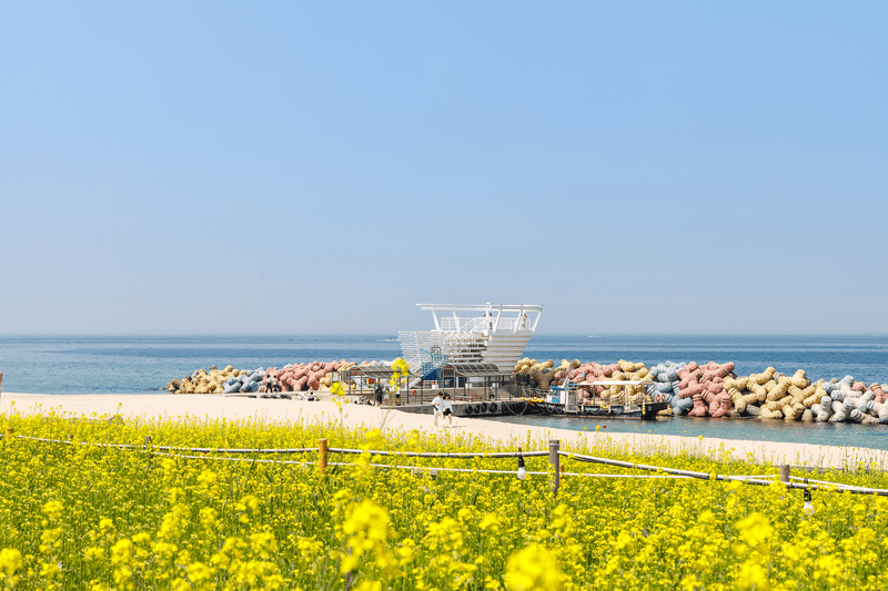 "조용한 바다로" 강릉시, 5월 추천 여행지 '사근진 해변 멀티플 광장' 선정