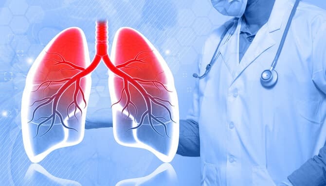 국내 연구진, 폐섬유화 악화 막는 'ATF3 유전자' 기능 규명…치료법 기대