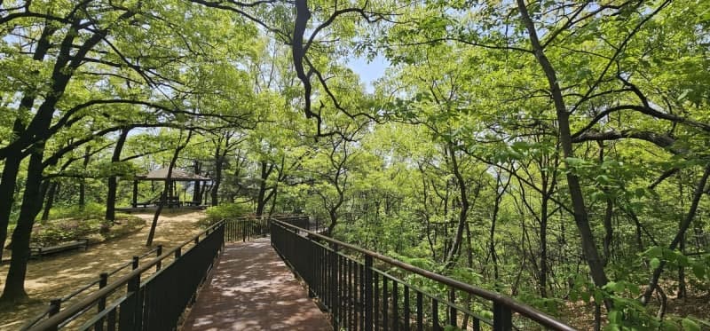 도봉구, "도봉둘레길 2.0사업 막바지" 둘리공원 숲길 730m 우선 개방