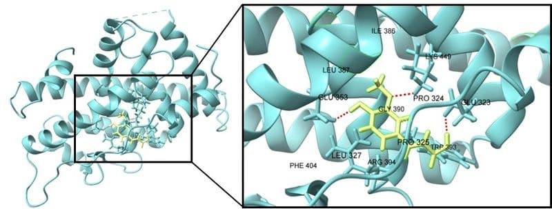 "탈모 고민 끝날까" LG생활건강, 모발 자라고 덜 뽑히는 성분 개발