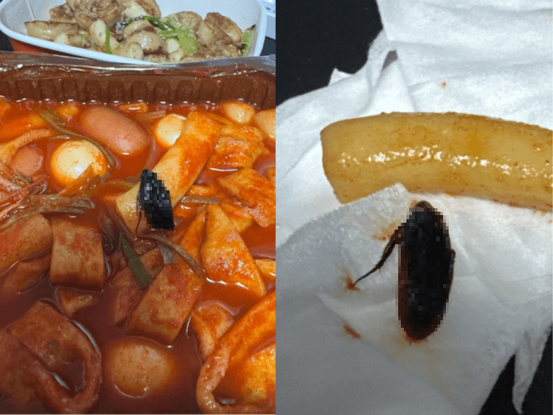 "떡볶이 먹으려다 경악" 삼첩분식 떡볶이서 '푹 익은 바퀴벌레' 위생 논란