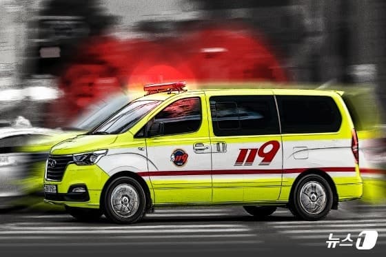 전남 벌목 작업 중 안전사고 잇달아…작업자 2명 숨져