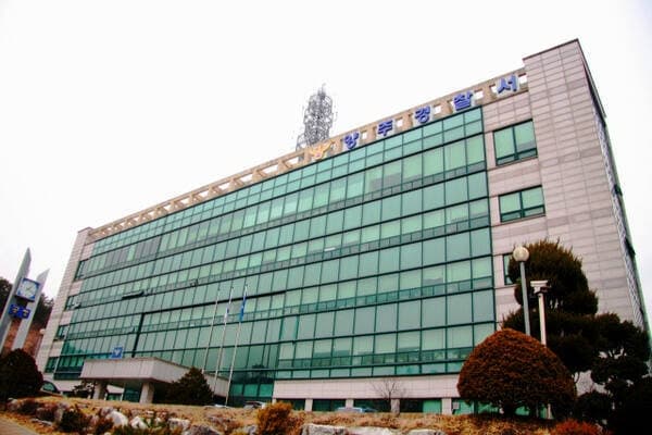 교차로 횡단보도 건너던 99세 노인, 좌회전 통학버스에 치여 숨져