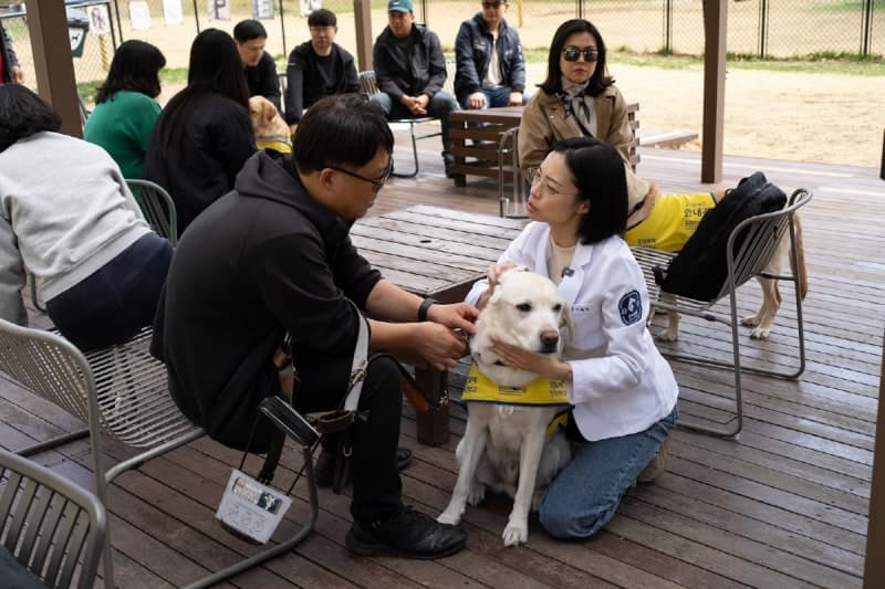 소노수의재단, '세계 안내견의 날' 맞아 시각장애인·안내견 가족 초청 행사 진행 "인식 개선" 지원