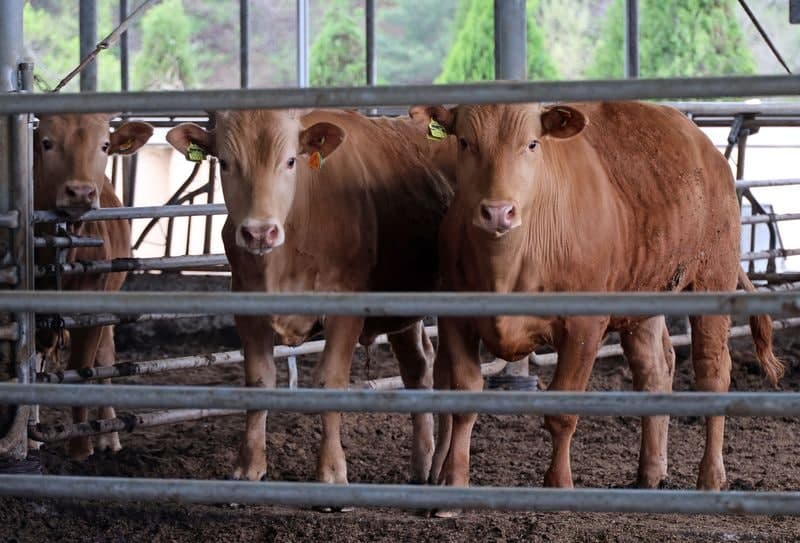 강원도, 농어촌진흥기금 135억 원 30일부터 조기 대출…농어업인 고충 해소