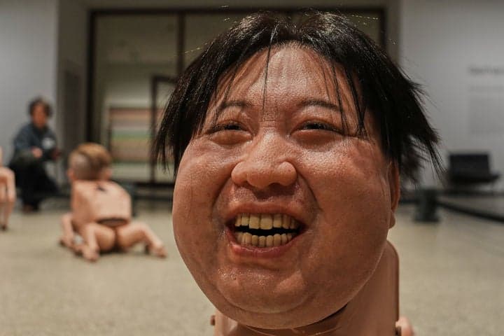 김정은 얼굴 달고 사족보행하는 로봇 개…베를린 미술관에 등장한 '김정은·머스크' 로봇 개, 작가의 의도는?