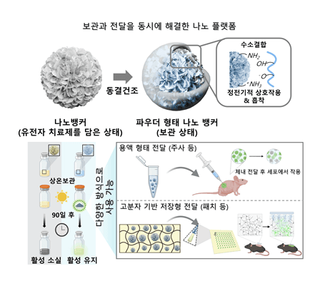 KIST, "냉장고 필요 없다"...상온서 바이오의약품 유통 플랫폼 구현