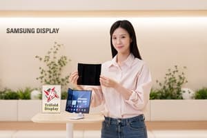 "두 번 접어도 끄떡없네"…삼성D 트라이폴드 패널, SID '올해의 디스플레이' 수상