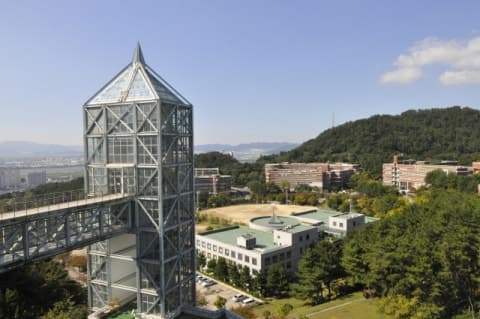 신라대, 부산시 빛공해 영향평가 재수행… 시민 체감형 빛환경 개선 추진