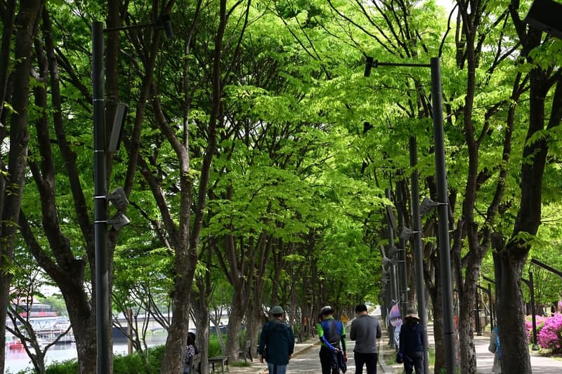 흐리고 쌀쌀한 날씨 이어져…서울 아침 11도, 낮 최고 20도 안팎