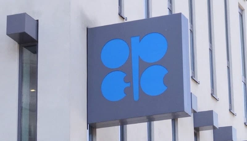 UAE의 OPEC 탈퇴 결정, "미국의 승리" 의미…국제유가 판도 흔든다