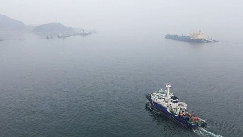 UAE의 OPEC 탈퇴, 한국 원유 수급에 "증산 기대"...하반기 회복 전망