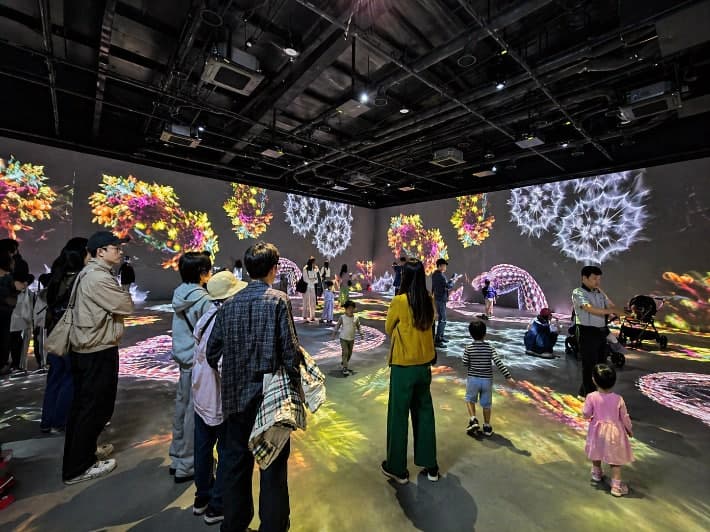 경주 '디지털 정원 라원' 개장 4주 만에 4만 명 돌파, 흥행 돌풍