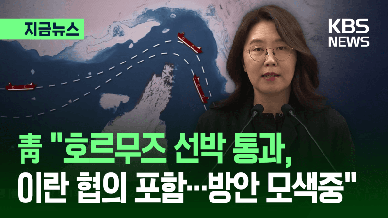청와대 "호르무즈 선박 통과, 이란과 협의 포함해 방안 모색 중"