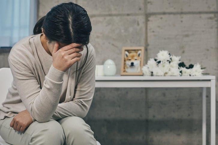 "강아지가 죽어서 못 다녀요" 반려견 죽자 퇴사한 신입사원…사장 반응은