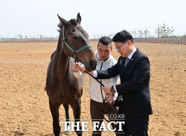 경기도, 은퇴·학대당한 말 위한 '말 복지 휴양목장' 화성에 개소…구조마 '리비' 새 둥지