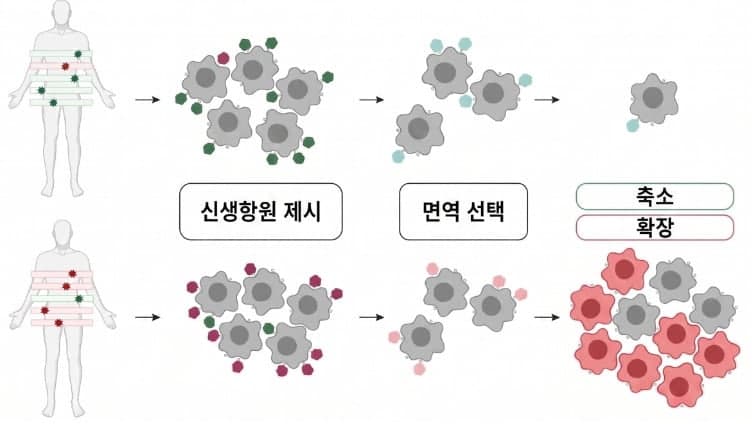 SCL사이언스 자회사 네오젠로직, "단일세포 빅데이터로 암백신 기술 혁신"…中 10조 시장 진입