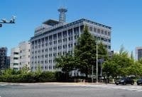 울산교, '도심 속 미식 명소' 넘어 볼거리 가득한 작은 축제 펼쳐진다