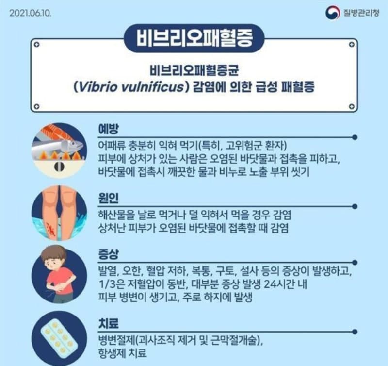 인천 연안서 올해 첫 비브리오패혈증균 검출…"작년보다 한 달 빨라 해산물 섭취 주의"
