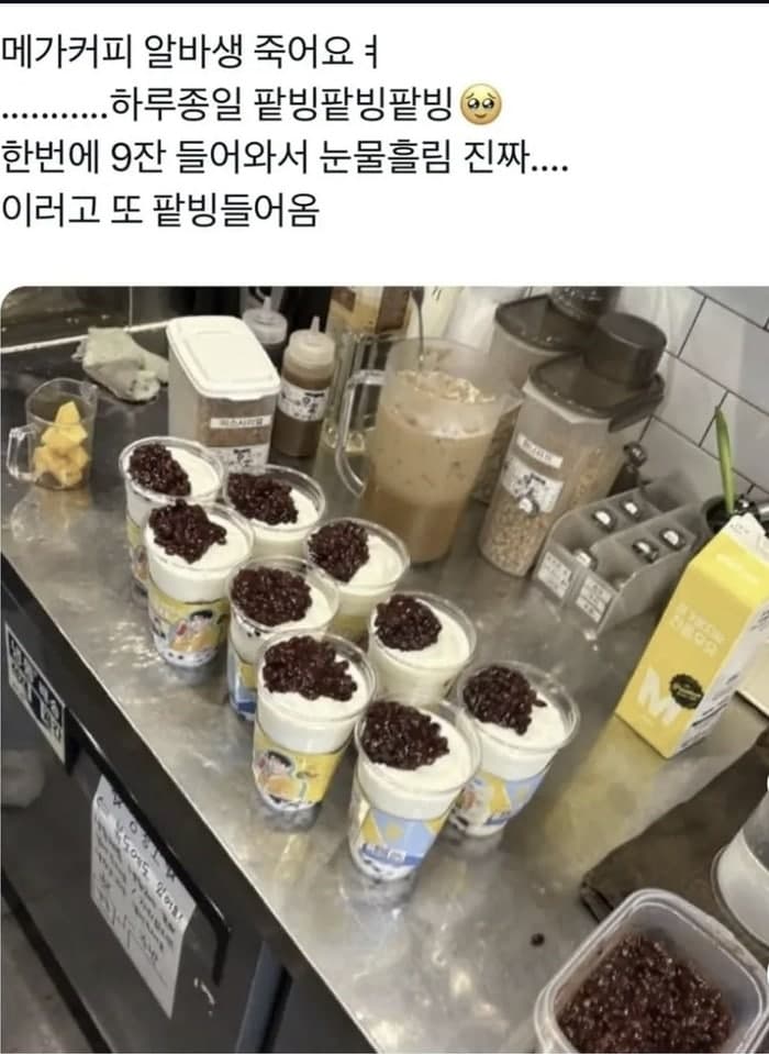 “알바생분들 미리 죄송합니다”…돌아온 공포의 컵빙수, 스타벅스 참전까지 알바생 ‘초긴장’