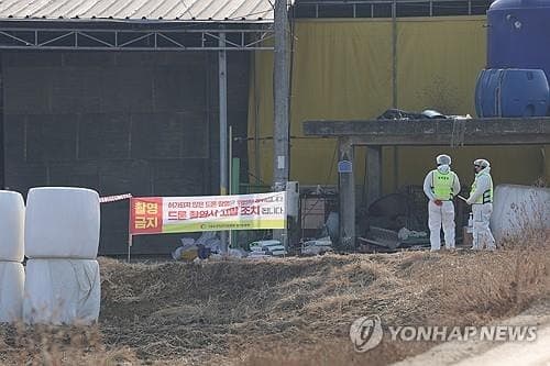 정부, 구제역 이동제한 전면 해제…위기경보 '관심' 하향, 평시 방역 체계로 전환