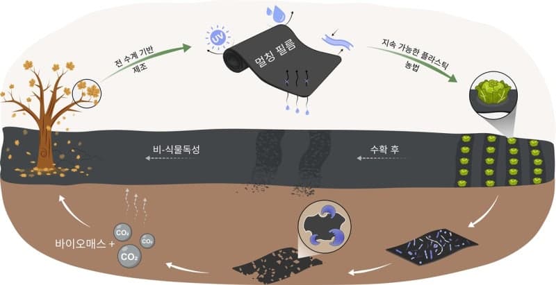 버려지는 낙엽, '자연분해 농업용 필름'으로 놀라운 변신…토양 오염 해결 대안