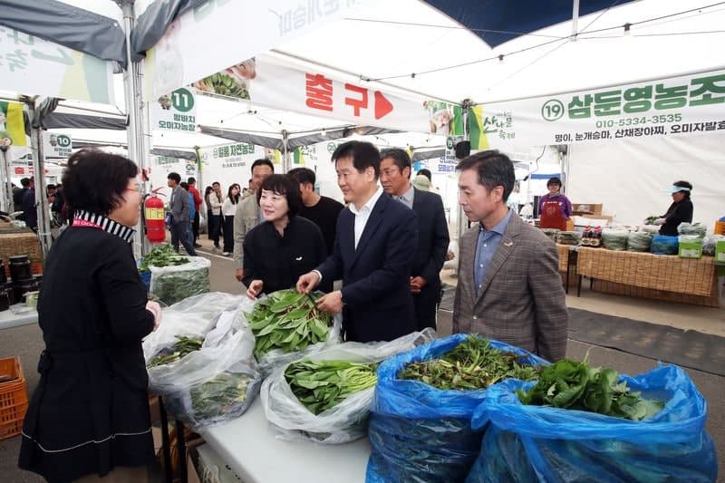 홍천 산나물축제 1일 개막, 3일까지 토리숲서 청정 봄맛·전통문화 미식 대잔치